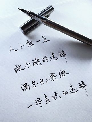 人不可能一直都做正确的选择,偶尔也要做一些喜欢的选择#手写 #感悟人生感悟生活 #练字 #硬笔行书 #写字是一种生活