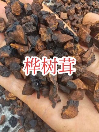 #上品 #山珍 #大自然的馈赠