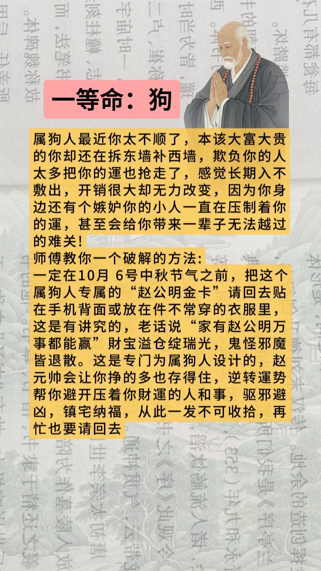 #狗 #属狗 #生肖狗