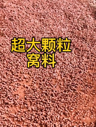 半日闲溪流钓打窝颗粒垂钓溪石斑窝料溪哥长白条桃花鱼红虫蚯蚓粗 天呐!半日闲溪流钓打窝颗粒太神了!诱石斑、溪哥、白条超给力,红虫蚯蚓配方,爆护就靠它! #半日闲颗粒#颗粒打窝料 #溪流钓#溪流钓颗粒窝料 #溪流颗粒窝料@DOU+小助手 @巨量千川
