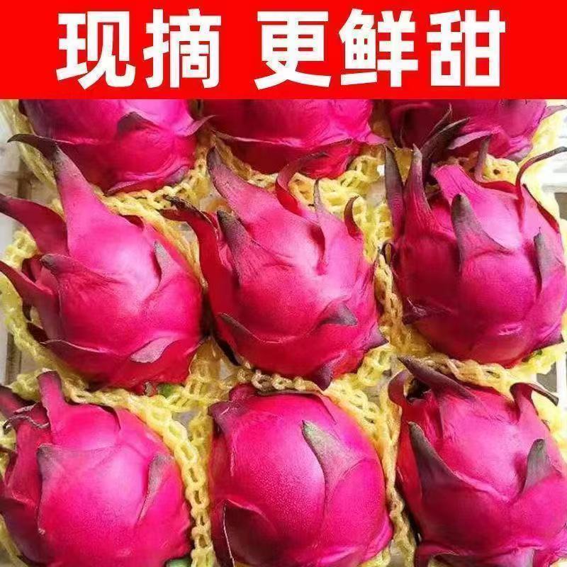 鲜甜的红心火龙果,现摘现发。 #火龙果