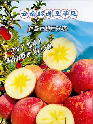 【正宗云南昭通新鲜冰糖心丑苹果原产地现摘脆甜好吃营养多汁肉 #美食 #应季水果 #强烈推荐 #快来一起尝个鲜