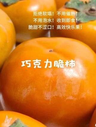 巧克力脆柿:野餐必备,秋日限定款,低卡富含维生素,养生不胖 #巧克力脆柿子 #脆柿子
