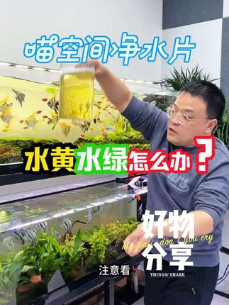 喵空间净水片,靶向净化黑科技!净水片精准吸附藻类前驱物质,从源头减少绿水,搭配除藻剂用,缸体洁净更持久。#养鱼日记#养鱼必备#好物推荐#净水片
