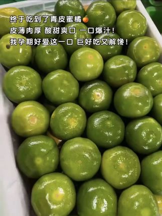 终于吃到了青皮蜜橘🍊皮薄肉厚 酸甜爽口 一口爆汁!我孕期好爱这一口 巨好吃又解馋!#青皮橘子 #橘子 #优质农产品 #口感特别好 #当季水果
