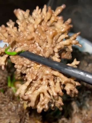 这种菌菇很多人没有见过,更没有吃过,他就是比香菇还好吃,比茶树菇还脆嫩的云南龙爪菇。很多人都没有吃过这种像小鸡爪一样的蘑菇,它就是云南高山上的特产龙爪菇。由于它的外形长得像小鸡爪,所以学名叫龙爪菇,吃起来脆脆嫩嫩的,非常好吃!涮火锅、炒菜都超合适~#抖音美食推荐官 #味道好极了你们想吃吗 #来过来尝尝这个 #家乡特色美食 #龙爪菇