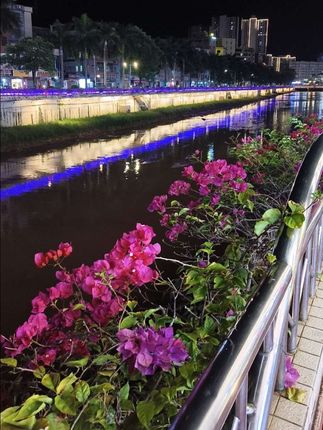 #李羲承符神颜 #旺仔小乔 #赵露思 #张予曦