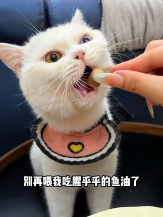 味当家鱼油夹心冻干配料表前两位都是鲜鸡肉,加上鸡蛋和南极磷虾,一口下去有蛋有虾还有肉,别提多香了。现在活动买三袋更划算。#味当家 #鱼油夹心冻干 #吃货猫 #猫咪零食 #养猫新手
