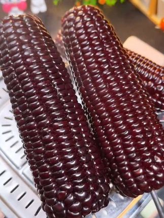 #黑糯玉米 头茬大棒黑糯玉米,含义丰富的花青素,颗粒饱满,软糯香甜#玉米 #五谷杂粮 #太好吃了 #好物推荐