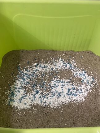 小苏打除臭颗粒#摩啃除臭 #宠物 #强烈推荐