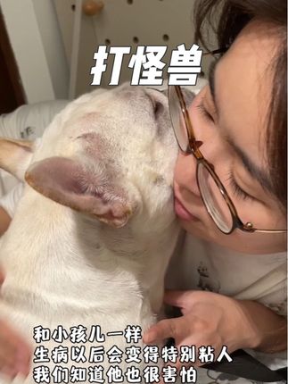 陀宝加油!把怪兽打败#陀大嘴 #法斗 #狗狗