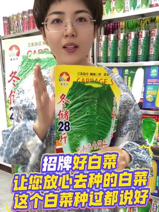 #三农 #种白菜 #蔬菜种子 #能腌菜能冬储 #三系杂交种子