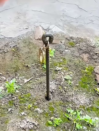 地桩钉栓马桩栓狗栓犬地钉帐篷钉牛用地钉栓牛羊 钉栓牛桩#螺纹钢地桩钉#农用工具#生活好帮手