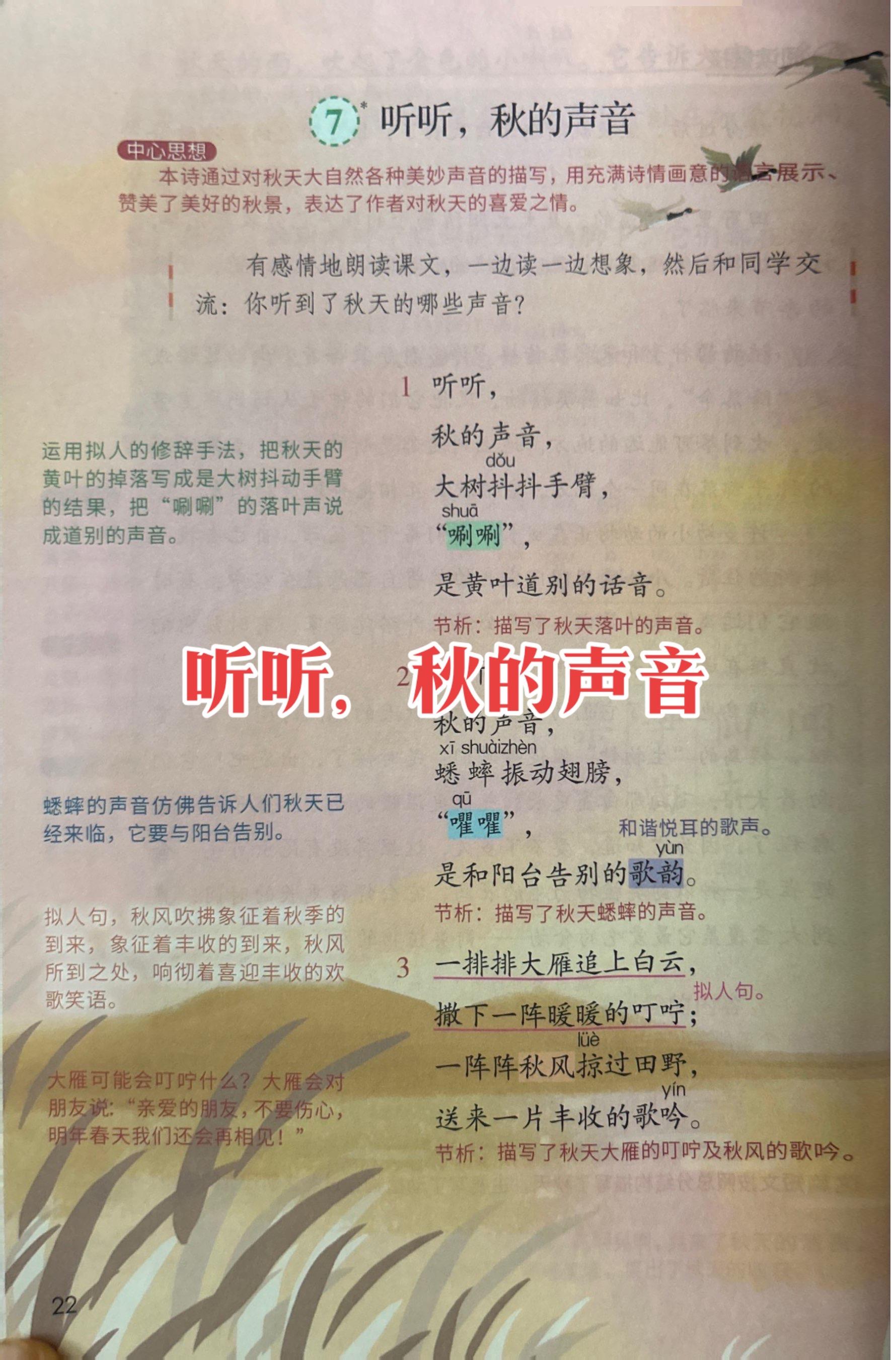 三年级语文上册课本教材同步教学内容第7课《听听,秋的声音》#课堂笔记总结