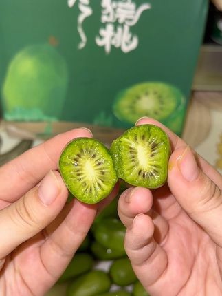 等了一年的软枣猕猴桃终于上市了,维C满满 果味儿很浓郁,软糯香甜超好吃!#软枣猕猴桃 #猕猴桃 #应季水果 #大人小孩都爱吃