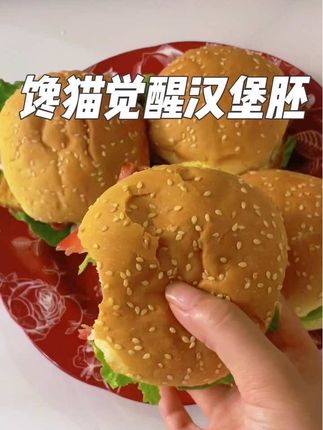 在家也能做出好吃的汉堡,用这个汉堡胚做汉堡简单方便又好吃,早上煎个鸡蛋,午餐肉,再来片生菜,在家做的干净又实惠。#馋猫觉醒汉堡胚 #汉堡 #早餐吃什么 #大人小孩都爰吃