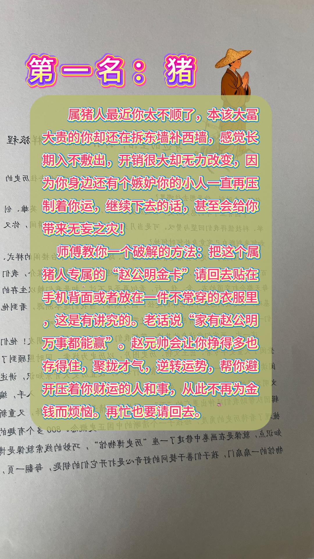 #生肖猪 #属猪