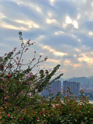 #秋季新款 #小西装穿搭 #时尚穿搭 #显瘦显高显气质 #气质穿搭