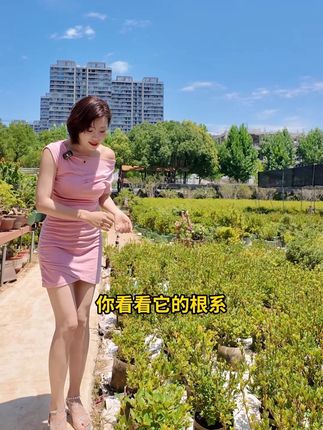 都是些什么人呀#安酷杜鹃 #纯露天种植 #高温天气
