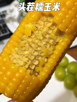 2025年的头茬糯玉米,吃上了!!!巨香巨甜巨糯,又嫩!最近早餐就吃玉米加鸡蛋了#十月稻田 #黄糯玉米 #头茬玉米 #粗粮