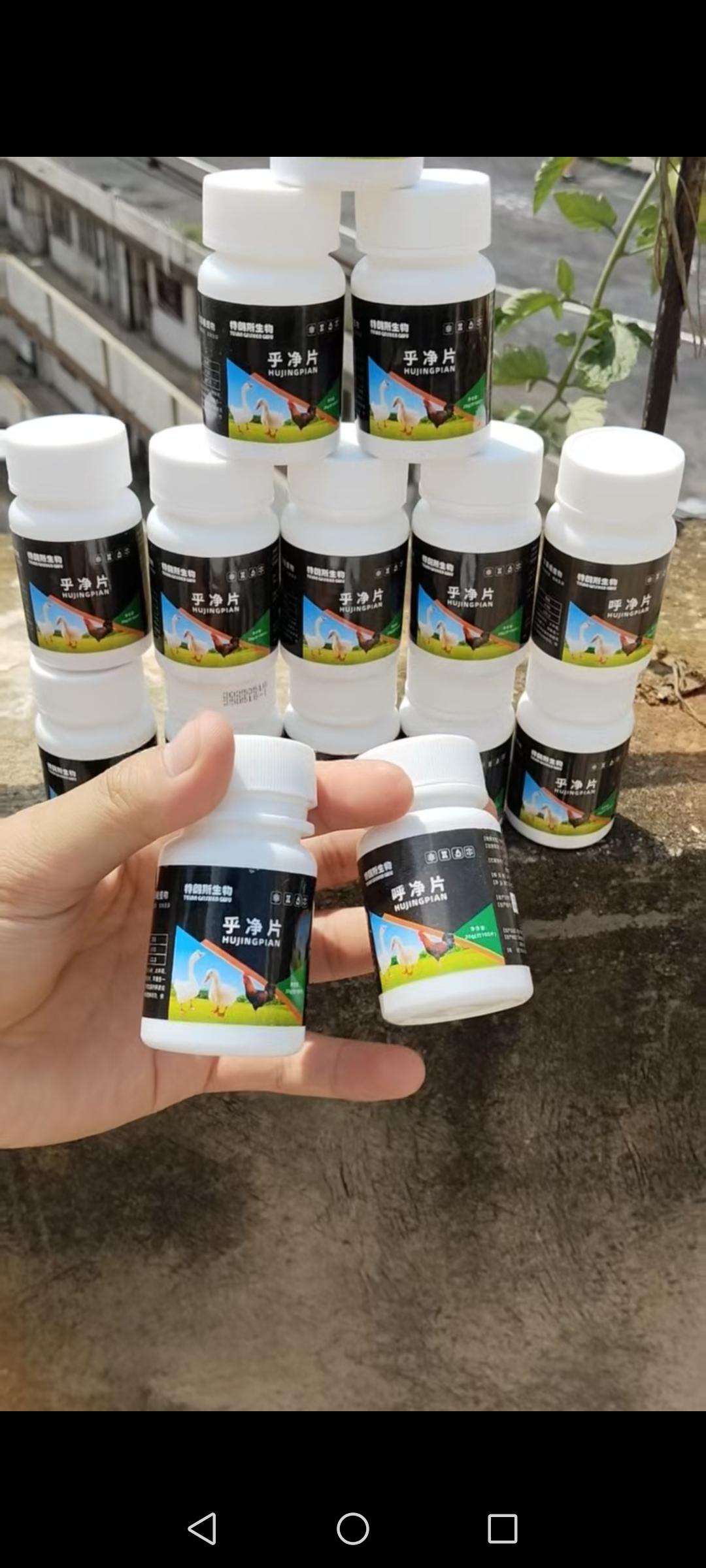 #鸡鸭鹅养殖 #科学养鸡 #家禽养殖 #禽病防治 #我的乡村生活