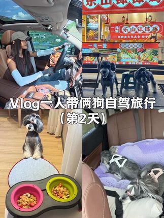 Vlog.288|一人带俩狗自驾旅行川西 河北出发的第二天:抵达成都 845公里 耗时11小时 #原创视频 #内容过于真实 #记录生活 #自驾游 #带狗旅行