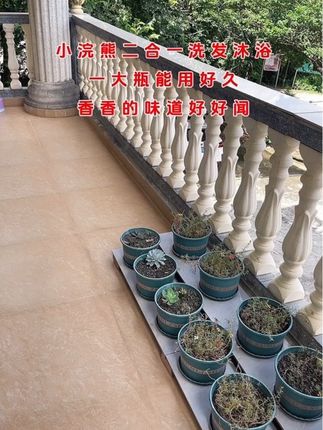 小浣熊二合一洗发沐浴露,香香的味道一家人都能用#本地抖音流量来了 #小浣熊 #洗发水 #沐浴露推荐