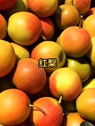 #脆甜多汁 梦中情梨丹霞红酥梨 #应季水果 #丹霞红梨 #玉露香梨 #梨