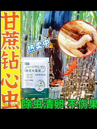 甘蔗钻心虫除虫剂食心虫蚜虫蓟马专用叶面肥农作物病虫害速清增产#助农 #原创视频