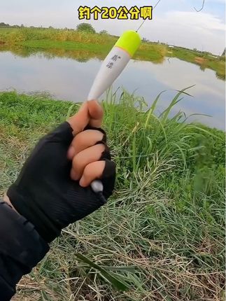 青草打窝!挂青草钓连上两条草鱼#钓鱼 #路亚#浮钓草鱼