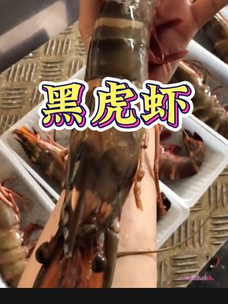 #黑虎虾 和手臂一样粗的黑虎虾你吃过吗?肉质紧实鲜甜,蛋白质丰富,大人孩子都爱吃#海鲜美食 #大虾 #快来一起尝个鲜#海虾