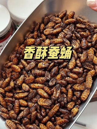 太香太好吃了吧!!山东特产#香酥蚕蛹 满满的高蛋白,一口下去酥酥脆脆越吃越香,追剧下酒超过瘾!#蚕蛹 #下酒菜 #解馋