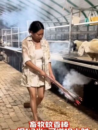 加强版1.2米畜牧蚊香】牛羊野外养殖场猪用兽用驱蚊灭蚊棒香灭#养殖场 #蚊香棒 #蚊香 #养羊 #养牛