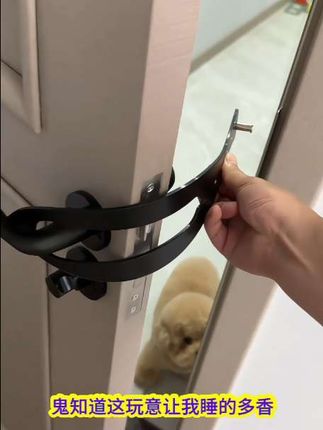 有了这个宠物留门器你就可以睡安稳觉了#宠物留门器#宠物用品推荐 #留门器#萌宠 #猫咪 #狗狗