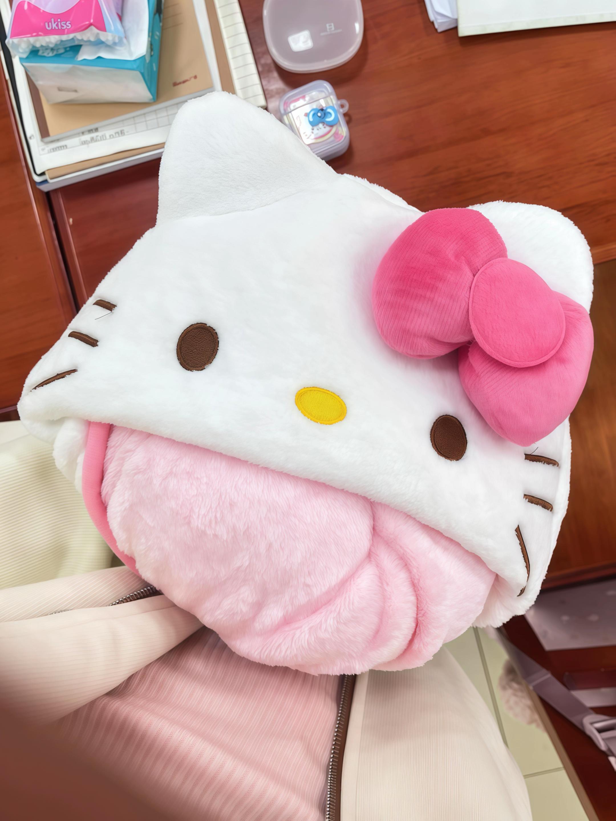 #也太可爱了吧 #kitty猫#毯子#毛毯#抱枕