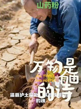 #创作河南焦作温县垆土产地铁棍山药粉古法麸炒工艺560g粉质罐装食用 #分享家乡美食 #纯天然无添加 #特色农产品  @D0U十小助手  @抖加🔥上热门🔥dou+🔥热点宝