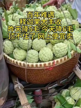 #牛奶释迦果#凤梨释迦果#软糯香甜 #新鲜应季水果