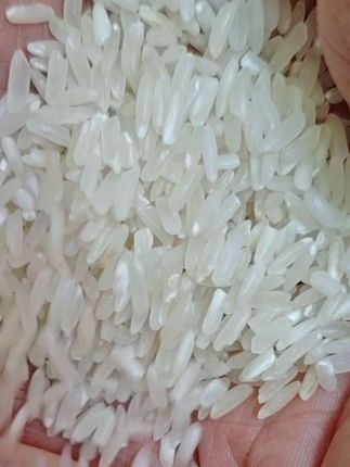 猫牙米29块9发10斤#一日三餐人间烟火 #猫牙米#长粒香大米#抖音商城#优质大米@DOU+小助手