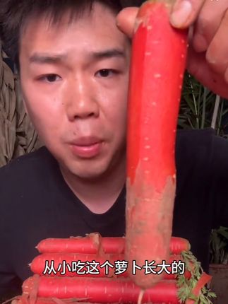 陕西沙地水果红萝卜5/9斤新鲜现挖生吃红萝卜脆甜当季农家蔬菜 #陕西沙地红萝卜 #陕西沙地#红萝卜 #农家蔬菜