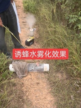 金环的直接拍、拍黑尾打备注黑尾、诱蜂水