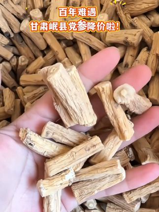 甘肃岷县党参降价啦!用来煲汤泡水泡酒都是很不错的,有需要的家人赶紧薅!#煲汤 #党参大段条 #滋补养生 #党参乌鸡汤 #党参