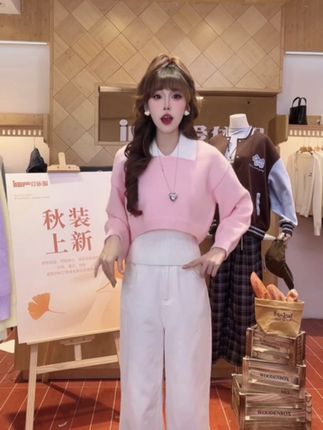 IEF/爱依服2025秋冬新款韩版学院风减龄通勤百搭毛织两件套上衣#韩系穿搭 #ootd穿搭 #洋气减龄 #小个子穿搭 #秋季穿搭