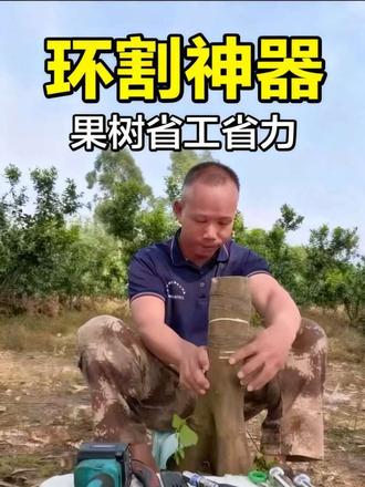 果园管理需要好用的工具 #果树管理 #果园日常