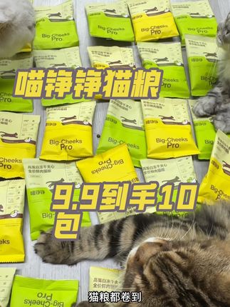 喵铮铮高鲜肉猫粮出了个大羊毛,还是高端系列夹新粮,咱们抓紧时间薅!#喵铮铮猫粮#新手养猫