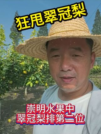 你今年翠冠梨吃了吗?#三农 #新鲜采摘 #水果 #梨 #翠冠梨