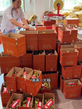 今年已经回购了50斤的新鲜绿皮榛子,口感脆生生的,一起尝尝看 #新鲜采摘 #农村种植
