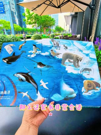 #探秘海洋立体书 #探秘海洋 #立体书 #翻翻书 #童书推荐