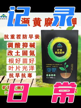 矿源黄腐酸钾好处多多#三农 #抖音助农 #葡萄种植 #优质农产品 #硕果累累