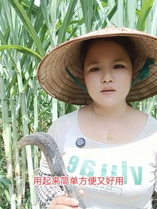 甘蔗剥叶刀种甘蔗必备 #甘蔗#甘蔗种植