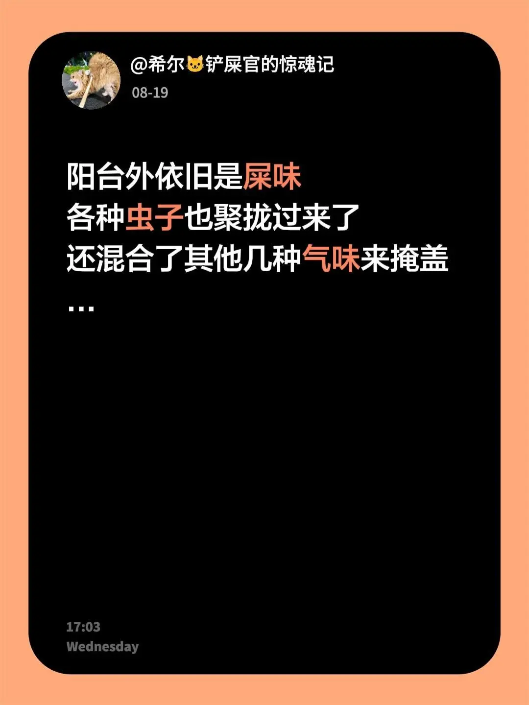 唉。阳台外依旧是屎味 各种虫子也聚拢过来了 还混合了其他几种 - 抖音